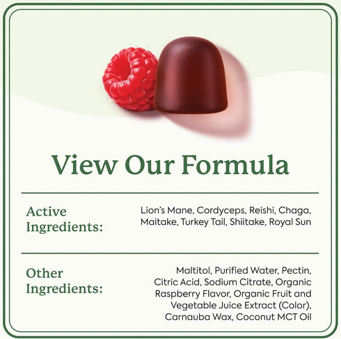Gummies Immune (60 Count) Plant People WonderDay Mushroom - Lions Mane, Cordyceps, Chaga Mushroom Supplement to Support