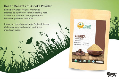 Ashoka Powder 5.3oz / 150 Grams | Saraca Indica - Traditional Uterine Tonic for Reproductive Health
