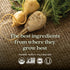 New Chapter Fermented Vitamin B12 1,000 mcg, USDA Organic, ONE Daily for Cellular Energy - 60 Count