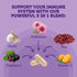 Vitamin Bounty Organic Elderberry Capsules for Adults - Immune Support with Vitamin C, Zinc & Echinacea - 60 Capsules