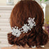 inSowni 30 Pack Silver Wedding Bridal Hair Side Combs + U Shaped Hair Pins Clips for Women Girls