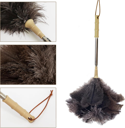 Aldwin Ostrich Feather Duster with Extension Pole, Up to 43 inch, Genuine Reusable Handheld Cleaning Duster
