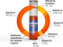 Orthomol Immun Vial - 7-Day Supply Immune Support Liquid Supplement with Vitamins A, B, C, D, E, Zinc, Iodine