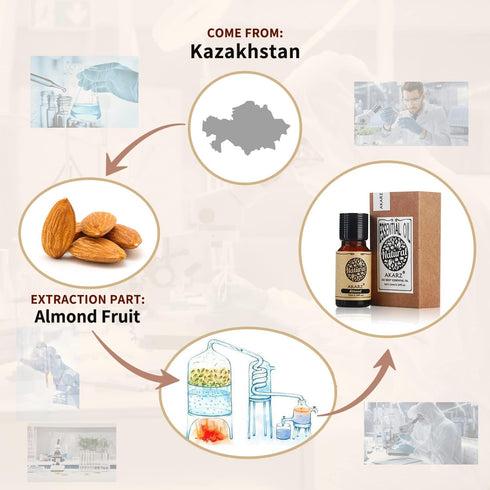 Almond Essential Oil Natural Organic Pure Premium Therapeutic Almond Oil for Skin Body Hair Care,Diffuser, Candle,Soap,Making, DIY,Massage Aroma 0.34 Fl Oz (10ml)