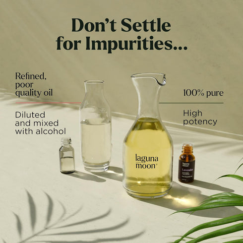 Essential Oils Set - Top 6 Blends for Diffusers, Aromatherapy, Candle Making, Home Care, Gifts - 10mL Peppermint, Tea