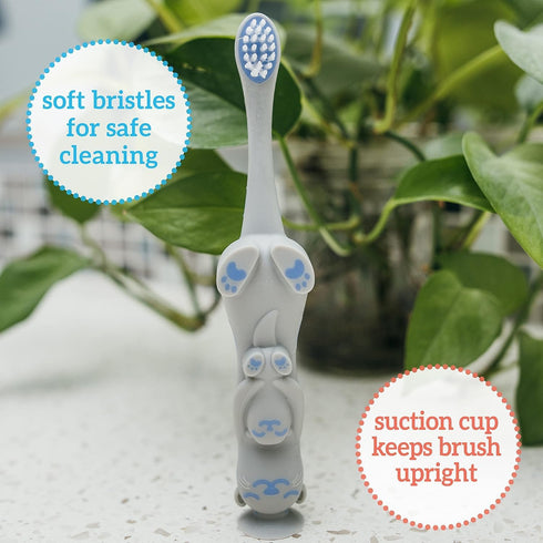 Dr. Brown’s Otter Toddler Toothbrush, Soft Bristles with Suction Cup, BPA Free, Ages 1-4, 1-Pack