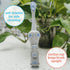 Dr. Brown’s Otter Toddler Toothbrush, Soft Bristles with Suction Cup, BPA Free, Ages 1-4, 1-Pack