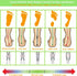 Thin Leather Insoles for Men, Arch Support for Pain Relief from Heel Spurs and Plantar Fasciitis, Brown, Women's