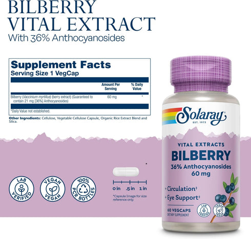SOLARAY Bilberry Berry Extract 60 mg, Powerful Antioxidant for Healthy Vision & Circulation, 60 VegCaps