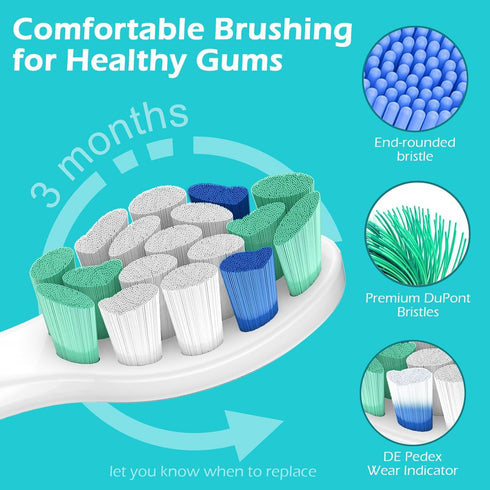 Seerein C2 C1 G2 W2 A3 G3 W3 4100 6100, 10 Pack Compatible with Philips sonicare Replacement Heads, Fit Philips