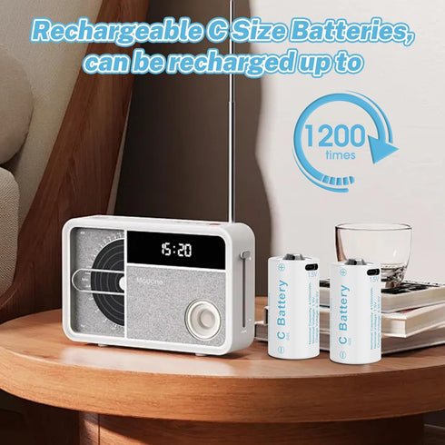 winbasic (6Pack, USB Rechargeable Batteries C)