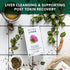 NUTRALIVER Detox Tea for Liver Cleansing with Milk Thistle, Turmeric & Fennel, 20 Tea Bags