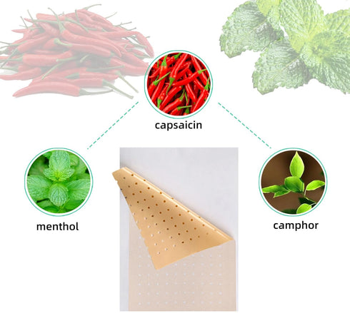 KONGDY Hot Capsicum Plaster Heat Patch Tiger Patches for Neck, Shoulders, Body Muscle Herbal Plaster (20 pcs)