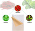 KONGDY Hot Capsicum Plaster Heat Patch Tiger Patches for Neck, Shoulders, Body Muscle Herbal Plaster (20 pcs)
