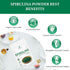 Spirulina Powder Organic: Superfood Powder for Immune Support, Natural Antioxidants & Vitamins, 1 Pound