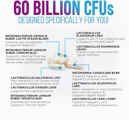 Daily Probiotic and Prebiotic Supplement 60 Billion CFU | 60 Capsules | Digestive Gut & Immune Health Support