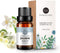 RAINBOW ABBY Jasmine Essential Oil, 100% Pure Organic Aromatherapy Plant Essential Oils Set for Diffuser - 10ML