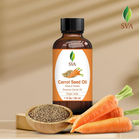 SVA 1 Fl Oz Carrot Seed Oil - 100% Natural Cold Pressed for Face, Skin Care, Hair Care, Scalp & Body Massage