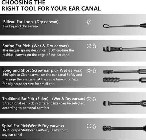 Hion 6 Pcs Ear Wax Removal Kit,Professional Double-Headed Ear Pick Earwax Removal Tools,316L Stainless Steel Ear Cleaner Curette with Cleaning Brush and Storage Box,Suit for Kid Adult(Black)