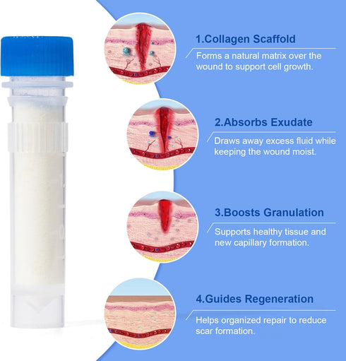 Smelling salts 7 1g Collagen Powder for Wounds Medical-Grade Bovine Collagen, Collagen Wound Care Powder, Supports