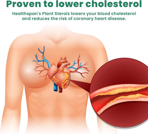 Ved Cholesterol Complex Probiotics and Prebiotics - 10 Billion CFU, 28 Capsules for Children with Lactobacillus