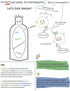 OAK & SAGE 8oz 100% Homeopathic Reproductive Health - Unscented - - Herbs, No Alcohol, No Chemicals