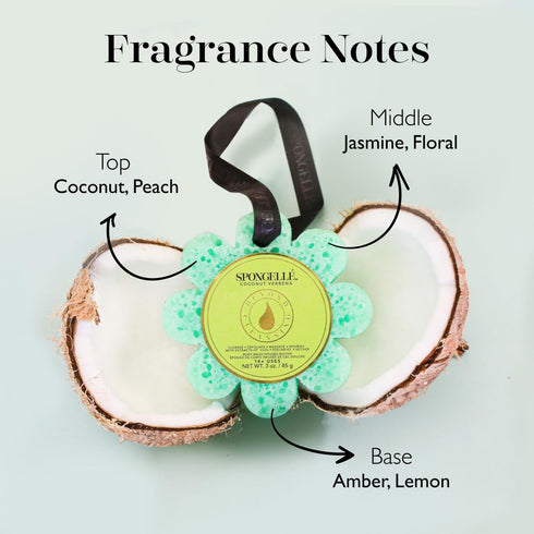Spongelle Coconut Verbena Wild Flower Buffer Body Scrubber, Bath & Shower Loofah for Women, 14+ Uses