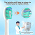 6 Pack Topkitfice Replacement Flossing Toothbrush Heads for Waterpik Sonic Fusion SF01/SF02, White