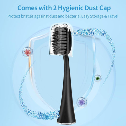 Replacement Toothbrush Heads for Burst Sonic Toothbrush, Charcoal Soft Bristles, Black, Pack of 10 with Dust Cover Caps