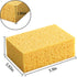 Natural Kitchen Sponges | Extra Large Heavy Duty 2" Thick Scrub Sponges for Dishes & Cookware | 2 Pcs (15 x 10 x 5 cm)