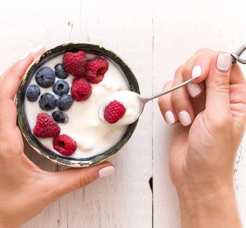 VIVO Probiotic Yogurt Starter, Natural (5 boxes, 10 Bottles) Makes up to 30 quarts of yogurt