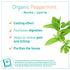 Puressentiel Organic Peppermint Essential Oil - 1 Oz, 100% Pure and Natural, Cooling Effect for Digestion