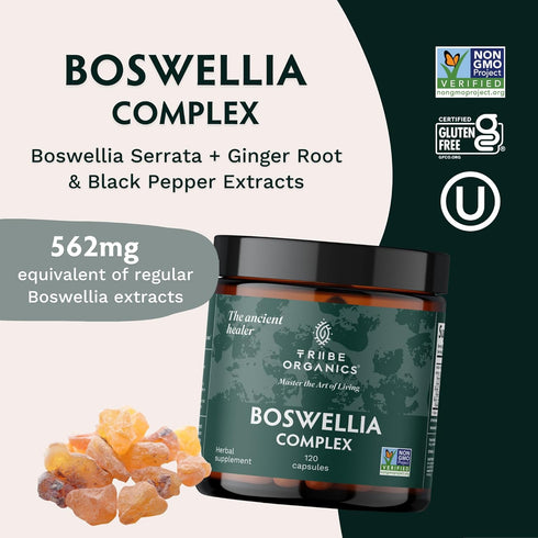 TRIBE ORGANICS Boswellia Serrata Complex Supplement for Joint Support & Muscle Relief - Vegetarian Non-GMO 120 Capsules