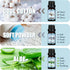 Clean Fragrance Oils Set, Premium Essential Oils for Diffuser, Soap & Candle Making Scents
