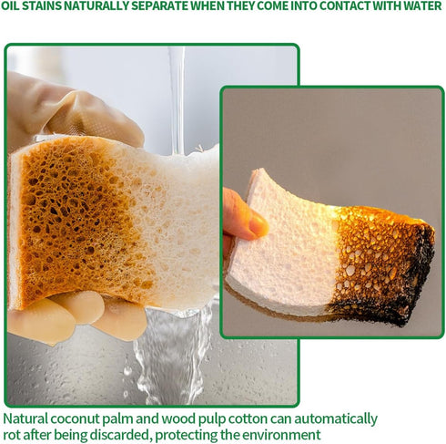 PUCITY DishesPack 24 Sponges Kitchen Natural Dish Sponge Plant-Based Biodegradable Compostable Cellulose with Coconut