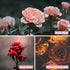 Rose Fragrance Oil, ESSLUX Floral Scented Oils for Diffuser, Soap Candle Making Scents, Essential Oils Gift Set