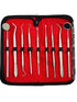 Premium Dental Tools, Plaque Remover for Teeth, Professional Hygiene Cleaning Kit, Stainless Tooth Scraper Set (SET of