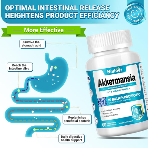 Akkermansia Probiotic, GLP-1 Probiotics for Women & Men, 10 Billion AFUs, 60 Capsules for Gut Health
