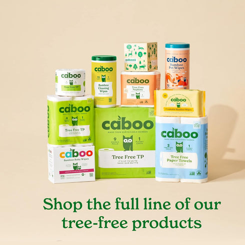 Caboo Tree Free Paper Towels, 8 Rolls, Earth Friendly Sustainable Kitchen Paper Towels with Strong 2 Ply