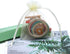 Tendwarm 100 Pcs Sheer Organza Bag, 3x4 Inch Gift Bags with Drawstring for Party Wedding Christmas Favor