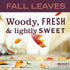 Mrs Meyers Clean Day Dish Soap, Fall Leaves Scent, 16 Fl Oz