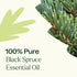 Plant Therapy Black Spruce Essential Oil, 30 mL (1 oz), 100% Pure, Undiluted, Therapeutic Grade