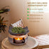 YSZYPETHE Handmade Ceramic Aromatherapy Diffuser,Herb Burner & Candle Wax Warmer with Tealight Holder, Home Fragrance