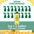 Cold Pressed Lemon Oil, 85% D-Limonene, Dilutes up to 16 Gallons, Concentrated Citrus Power, 16oz All Purpose Cleaner