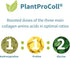 Advanced Vegan Vanilla Collagen Peptide Powder | Enhanced with Glycine, Proline & Vitamin C | 35 Servings