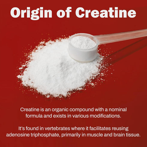 BoxNutra Creatine Monohydrate Powder - Unflavored Creatine for Men and Women, 200 Servings, Increases Muscle Gain