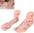 Human Foot Acupuncture Model for Reflexology Teaching