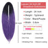 Leeven 24 Inch Synthetic Double Ended Dreadlock Extensions Black to Purple Thin DE Dreads 10 Strands Handmade 0.6 cm width Reggae Style Hippe Ombre Dreads for Women Men