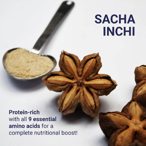 Organic Sacha Inchi Plant Based Protein Powder by Aliksir, 1 Bag (8.8 oz), 100% Natural, Vegan, Gluten-Free, 9 Grams