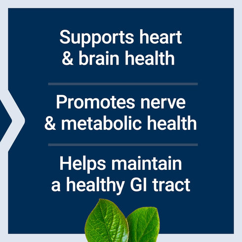 Life Extension BioActive Folate & Vitamin B12 | 90 Capsules | Promotes Heart, Brain & GI Tract Health